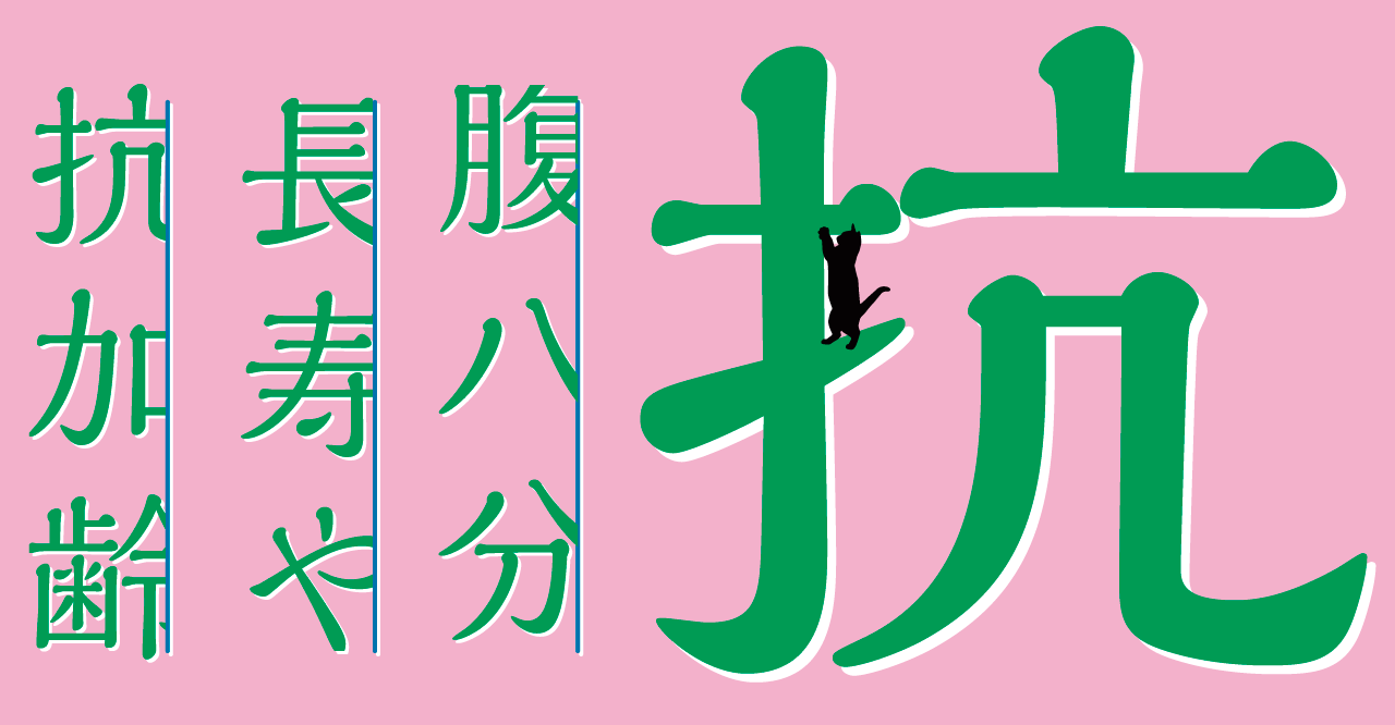 酵素×抗齢