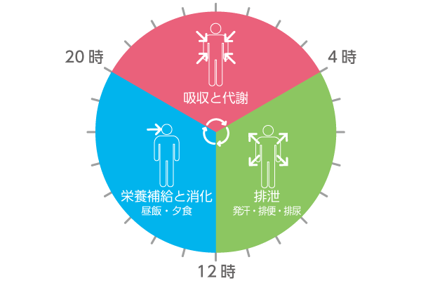生理的なリズム