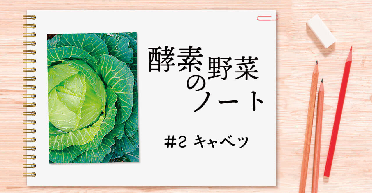酵素野菜のノート #02 キャベツ