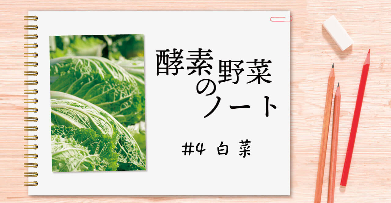 酵素野菜のノート #04 白菜