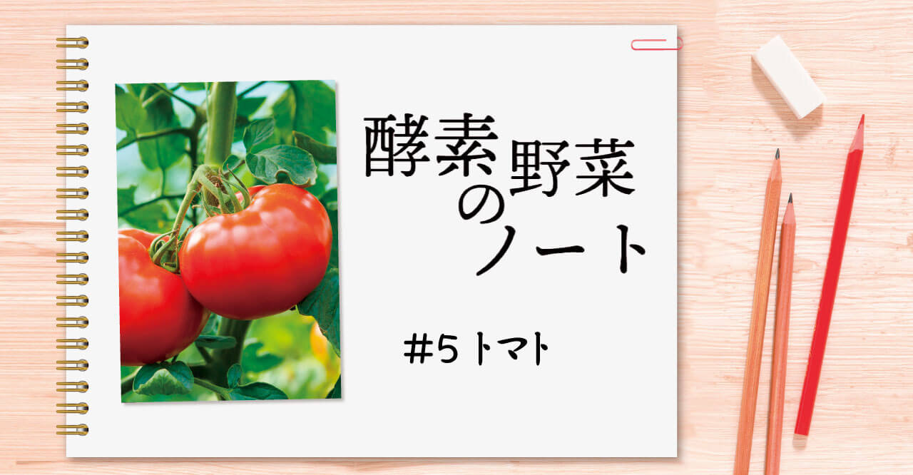 酵素野菜のノート #05 トマト