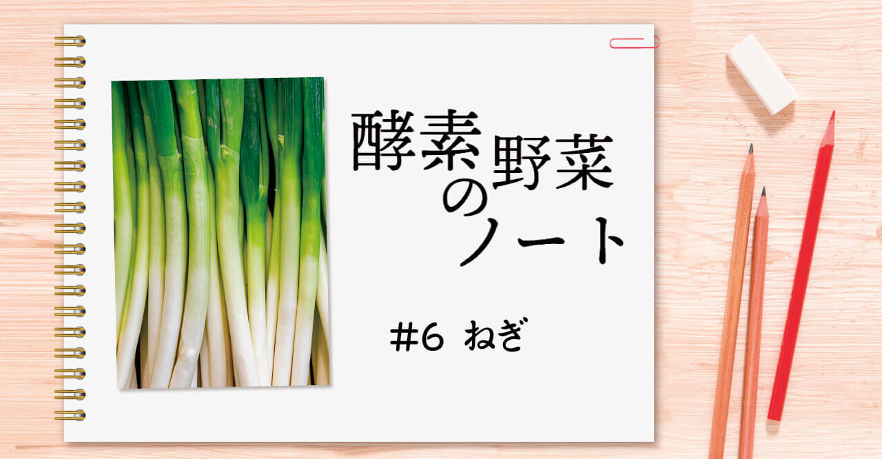 酵素野菜のノート #06 ねぎ