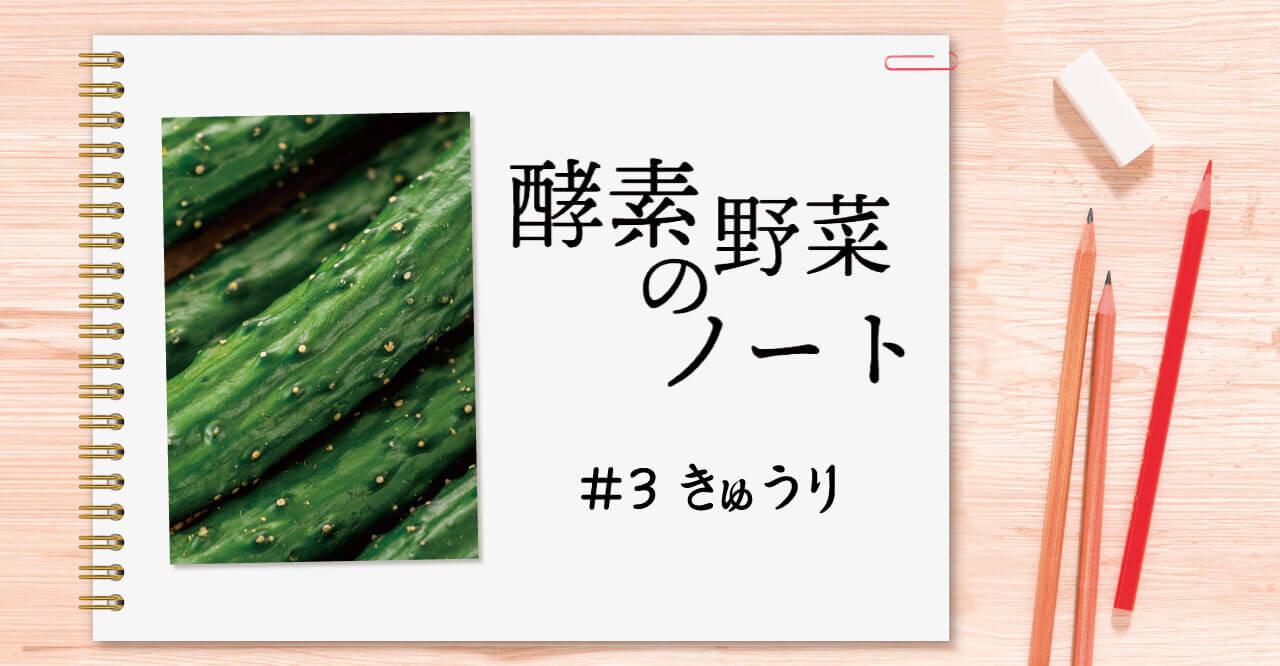 酵素野菜のノート #03 キュウリ
