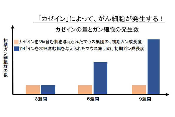 カゼイン量と発がん性