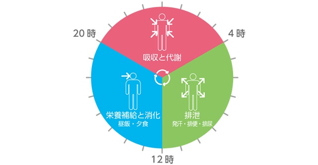 1日の生理の法則