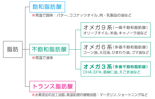 青魚